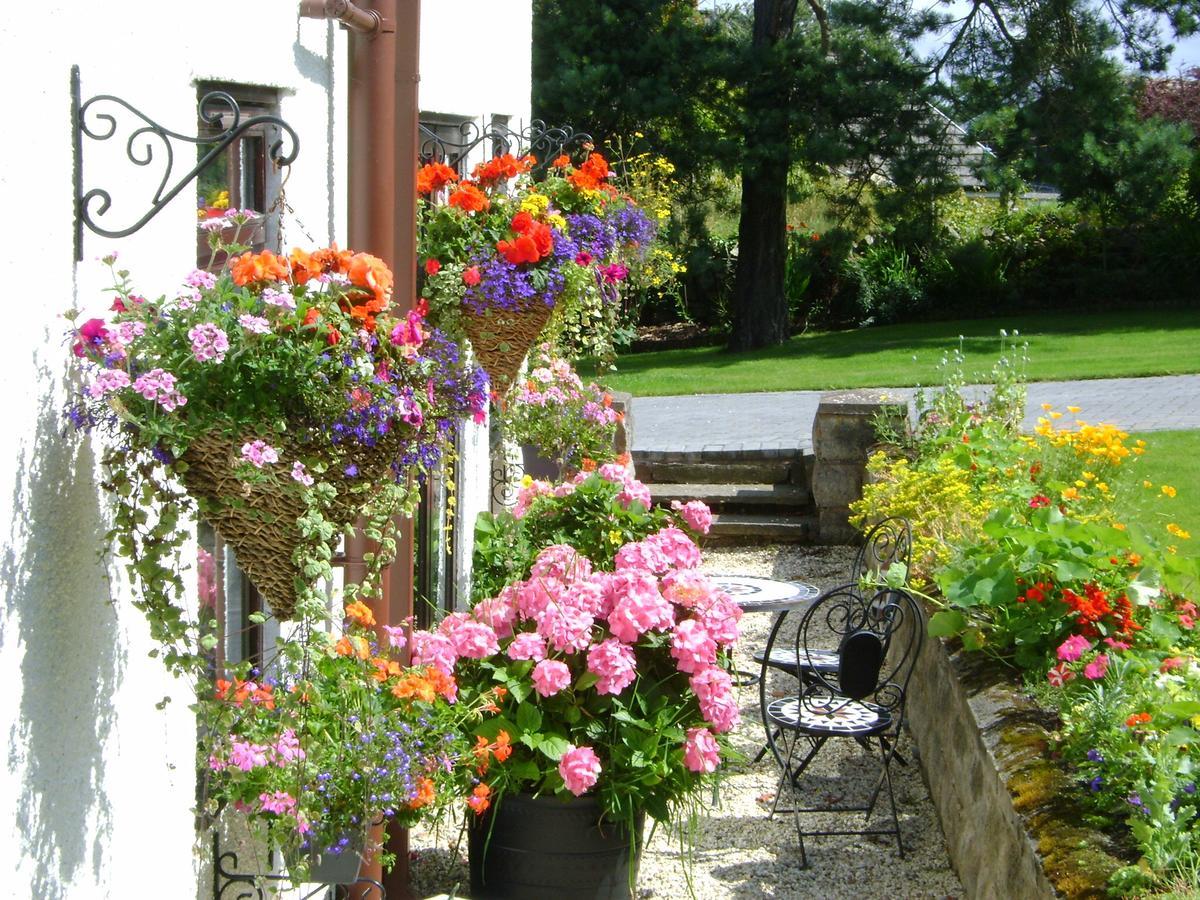 Celyn Villa Bed And Breakfast Holywell  Εξωτερικό φωτογραφία