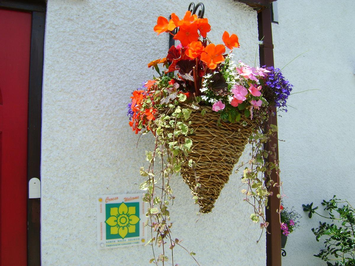 Celyn Villa Bed And Breakfast Holywell  Εξωτερικό φωτογραφία